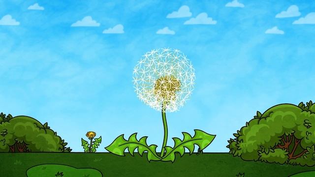 NEW!!! В ЛЕСУ - Сборник познавательных мультфильмов Профессора Почемушкина о природе _) смотреть онлайн