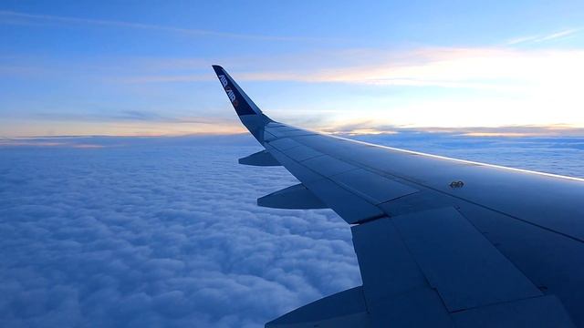Procedure na aerodromu u Beogradu i Hurgadi - EGIPAT смотреть онлайн