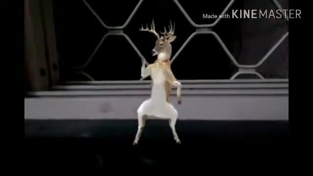 See the deer dance in my window and the setelite crash on my balkani смотреть онлайн