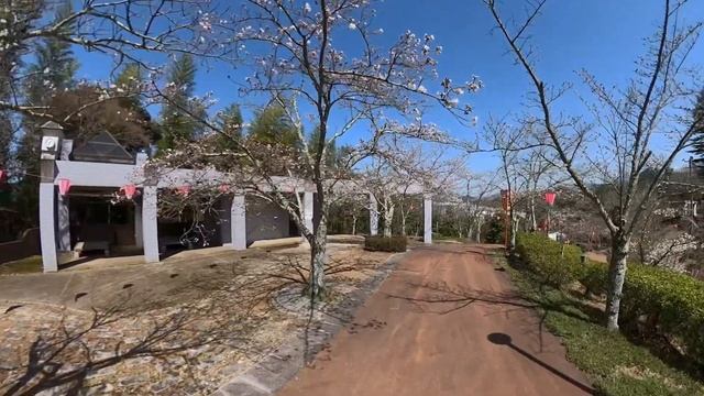 2024年4月1日版 舞鶴市桜スポット定点観測ダイジェスト смотреть онлайн