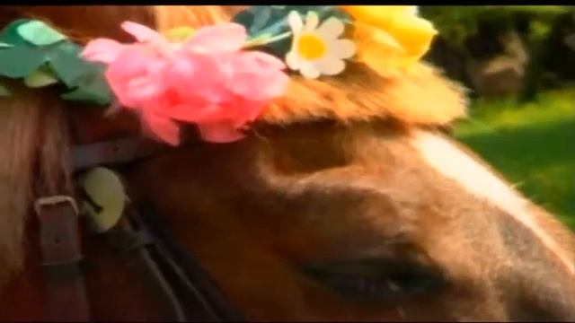 03Переехала комбайном смотреть онлайн