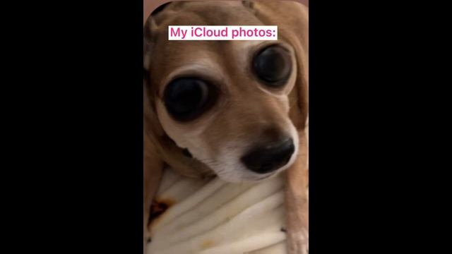 My iCloud photos смотреть онлайн