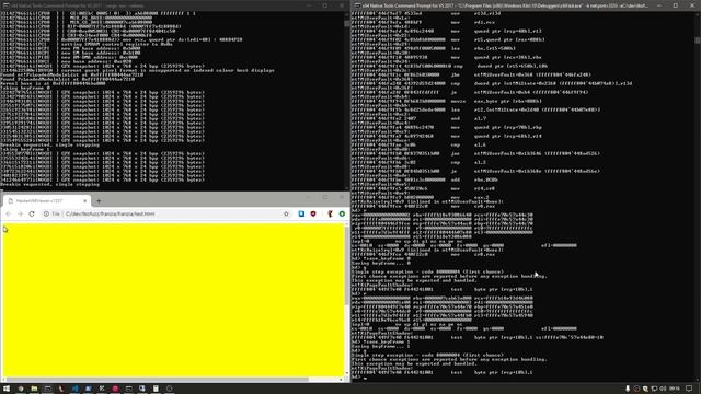 Travelling through time with WinDbg at a system level смотреть онлайн