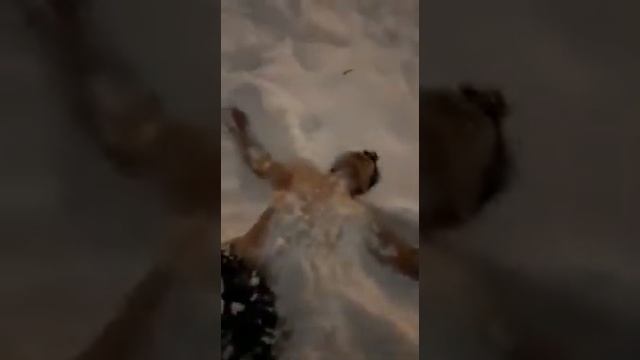 Мой дед морж смотреть онлайн