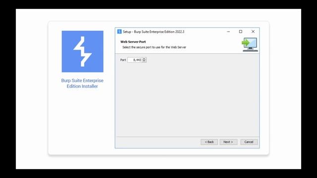 Preparing for a standard Burp Suite Enterprise Edition installation смотреть онлайн