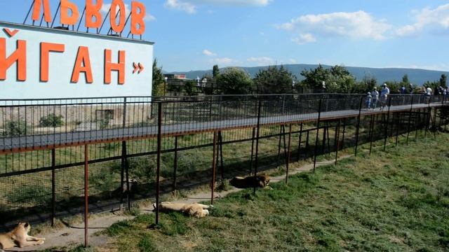 Львы слушают Роландаса смотреть онлайн