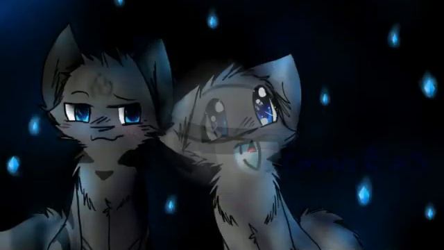Kizoa Online Movie Maker: Warrior Cats Tribute: Jayfeather смотреть онлайн