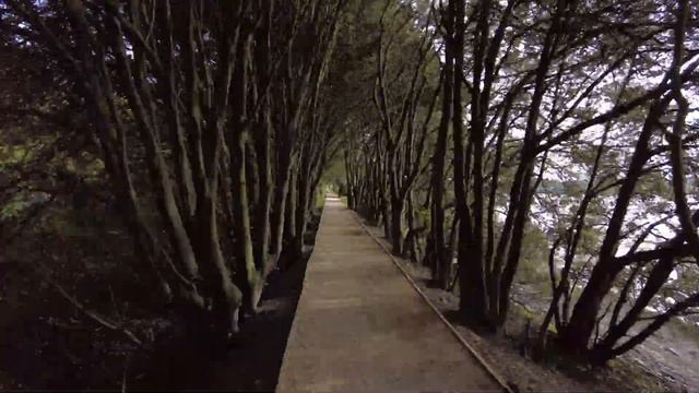 Hyperlapse in Saltram Park | DJI Pocket 2 | 4K смотреть онлайн