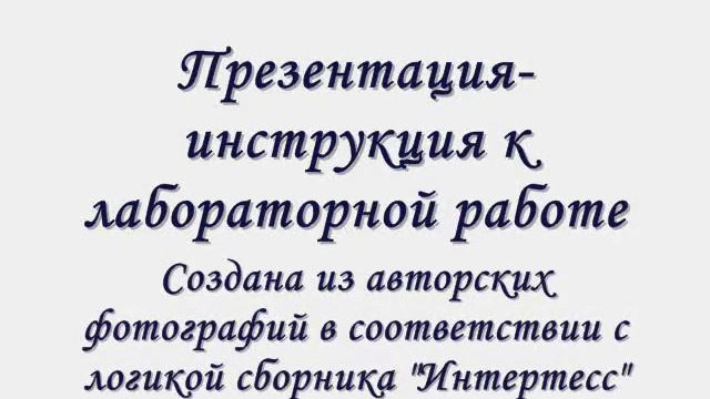 презентация.wmv смотреть онлайн