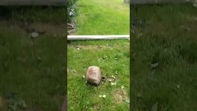 Yard work on a Monday смотреть онлайн