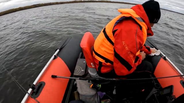 Судак на Волге.