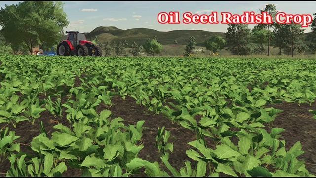 Fs 23, 15 Crops Complete Details in Farming Simulator 23 || Fs 23 Android & ios! смотреть онлайн