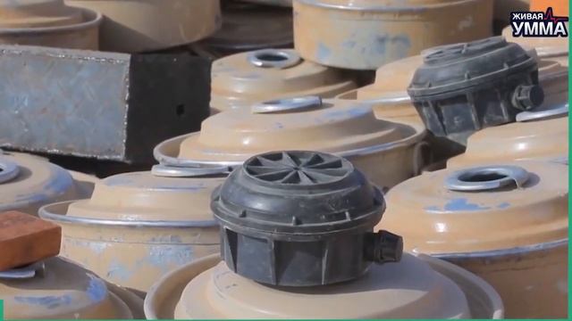 Народ Йемена в поле смерти смотреть онлайн