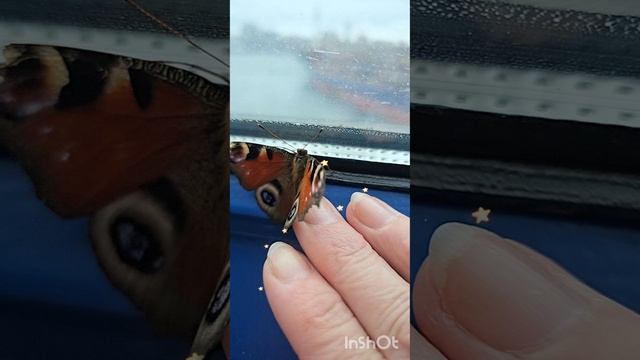 Остановись,мгновение... смотреть онлайн