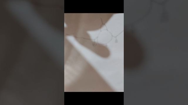 Flywings RC Remote control for PC MAC. Soon on Steam смотреть онлайн