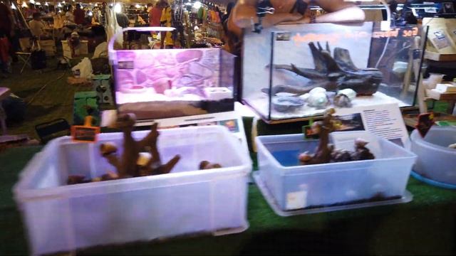 Thailand weekend market- The Park In- 4K video by Osmo Pocket смотреть онлайн