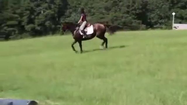 Paige Ansaldi Apple Sat XC 7 iPhone смотреть онлайн