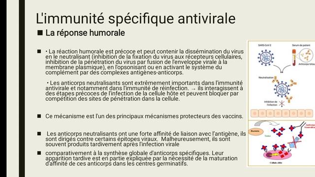 l'immunité antivirale univ Médéa (résumé) смотреть онлайн