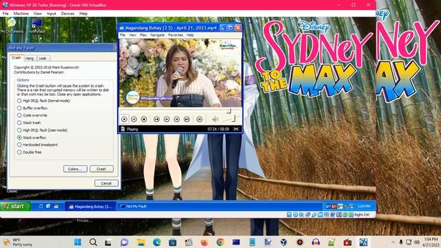 Windows XP BSOD 1000 (2023)