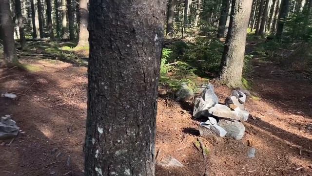 The Beauty of Hiking смотреть онлайн