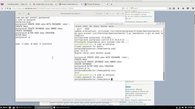 Installing Odoo 10 on Debian 9 смотреть онлайн
