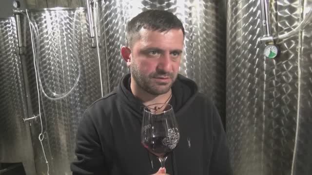 Винодельня Orkoli Грузия