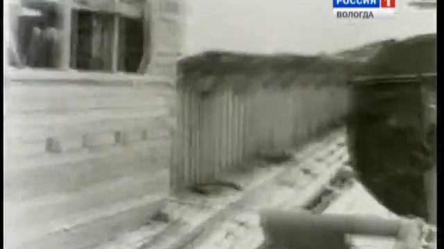 Программа “Лес” (23.08.2014) смотреть онлайн