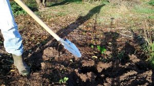 Как вскопать землю лопатой.