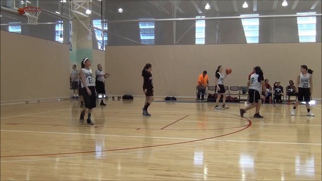Lady Hawks vs Lady Admirals Game 2/3 1 win up to this point смотреть онлайн