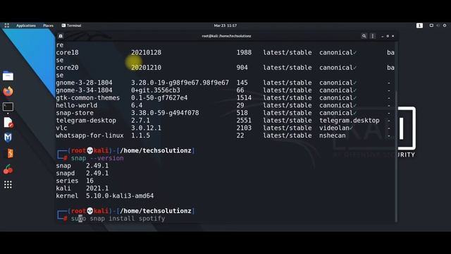 How to Install Spotify in Kali Linux 2021.1 | Spotify Snap | Sudo Snap Install Spotify смотреть онлайн
