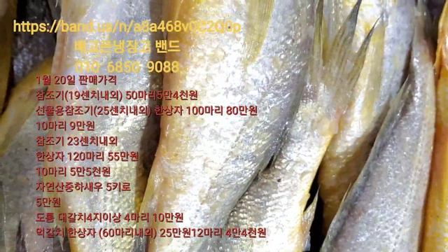 '배고픈냉장고' 밴드로 초대합니다.tps://band.us/n/abac6cv4CaQ3J밴명을 검색해 가입할 수 있습니다.From 팔도먹거리 참조기20센치내외 50마리 5만 4천원 смотреть онлайн