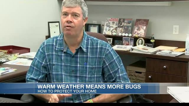 Keeping bugs away as temperatures warm up смотреть онлайн