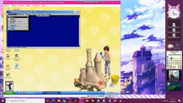 Windows XP Professional X64 Edition Service Pack 2 Mon VirtualBOX смотреть онлайн