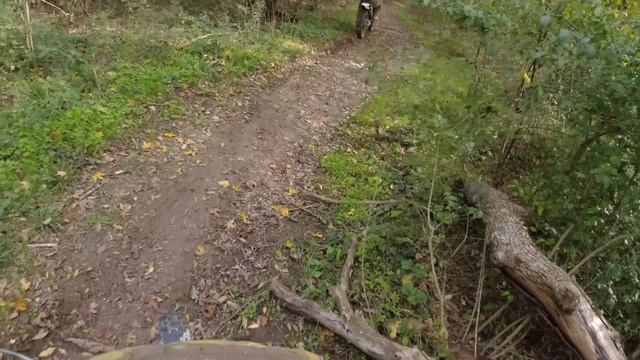 В Сукко на кипарисы