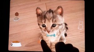 SUPER SPECIAL LITTLE KITTEN ADVENTURE - THE STORY OF A LITTLE KITTEN AND THE ANIMALS