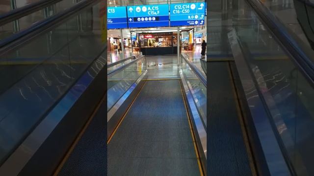 Dubai duty-free смотреть онлайн