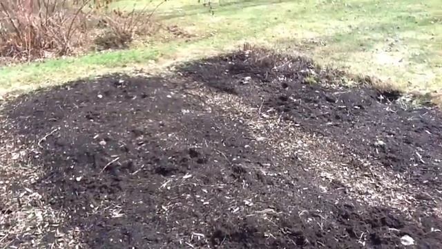 More Manageable Apple Trees? смотреть онлайн