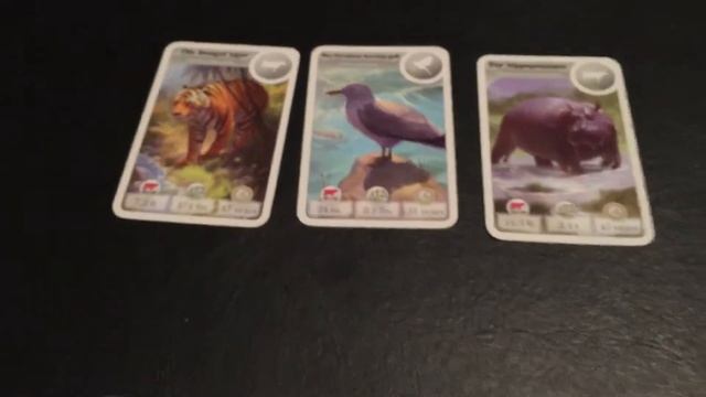 Cardline animals how to play смотреть онлайн