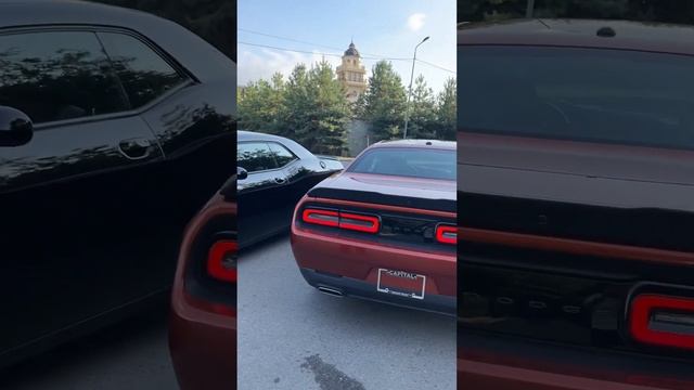 ЭТО ПОСЛЕДНЕЕ ДЕЛО | DODGE CHALLENGER смотреть онлайн