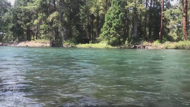 Yakima River Fly Fishing Report-August 8th, 2023-Worley Bugger Fly Co смотреть онлайн