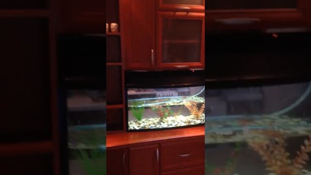 г. Н.Новгород, ул. Попова, д. 11, кв. 24 смотреть онлайн