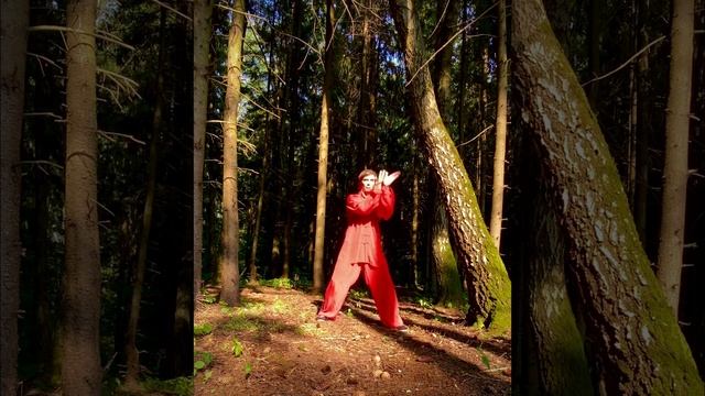 Тайцзи - тренировка тела и сознания смотреть онлайн