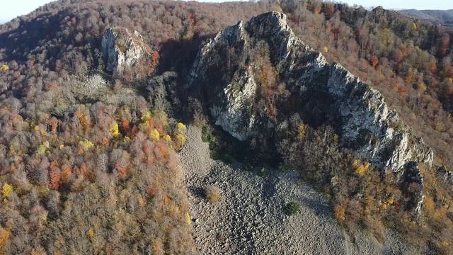 Осенний Индюк и Индюшка (v2) смотреть онлайн