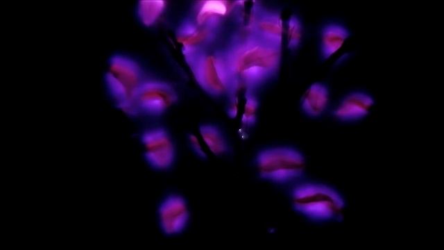 Plasma Tree Artwork - Arbor Aid 2011 смотреть онлайн