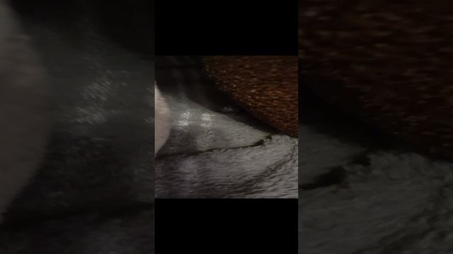 странный картонный дом.mp4 смотреть онлайн