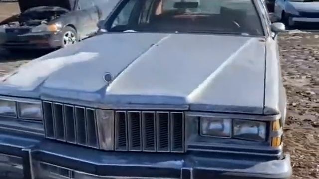 1979 Pontiac Parisienne at Standard Auto Wreckers смотреть онлайн