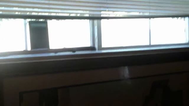 #RATCHET #WELFARECREW & #TIANNA #SCREAMING & JUMPING & #PEEPING IN MY WINDOW 71316@743pm смотреть онлайн