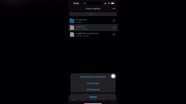 наконец-то Esign снова заработал\как установили Esign на IOS