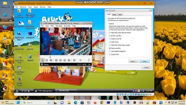 Windows XP BSOD 623 (2023) смотреть онлайн