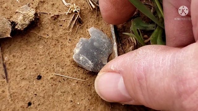 Indian Artifacts.....Truck window find !! смотреть онлайн